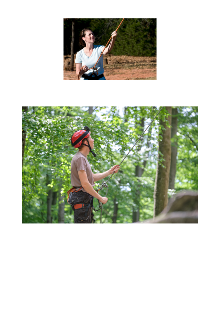 Belaying person among trees